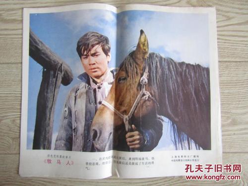 上海最新房产证样本图片高清